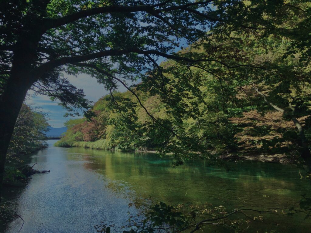 奥入瀬渓流,青森県十和田市,ミシュラン・グリーンガイド,