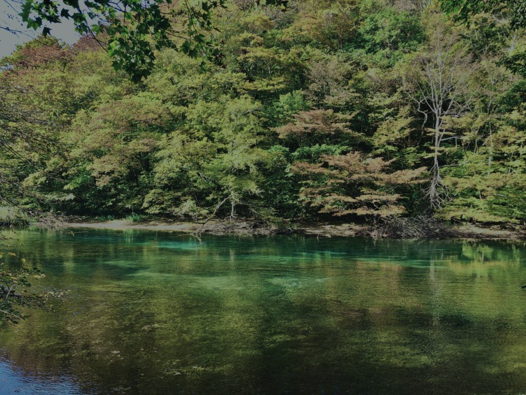 奥入瀬渓流,青森県十和田市,ミシュラン・グリーンガイド,