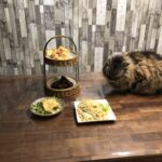 ねこセルカークレックス,ラムキン,