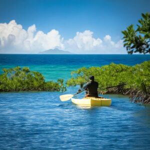 SUP,カヌー,マングローブ,海,雲,晴天,