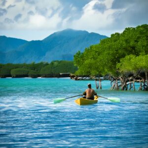 SUP,カヌー,マングローブ,海,雲,晴天,